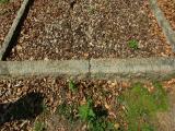 image of grave number 933511